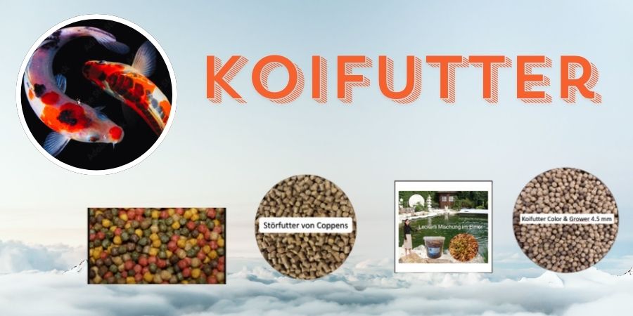 Koifutter - Koileckerli